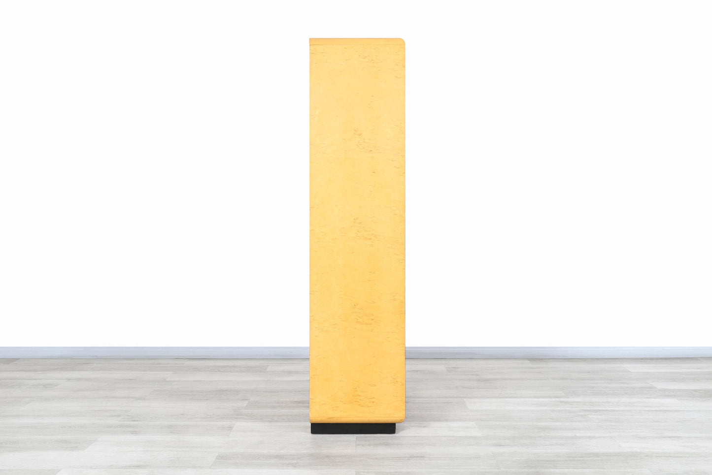 Vintage Burl Wood and Mirrored Armoire by Romweber